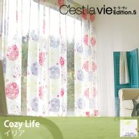 [XJ[e C'est la vie ZEEB Ilia / CA I[_[TCY  ([J[ʑi)