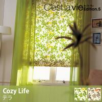 J[e C'est la vie ZEEB Terra / e I[_[TCY  ([J[ʑi)